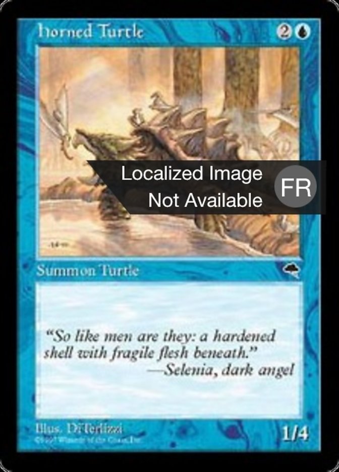 image Tortue cornue