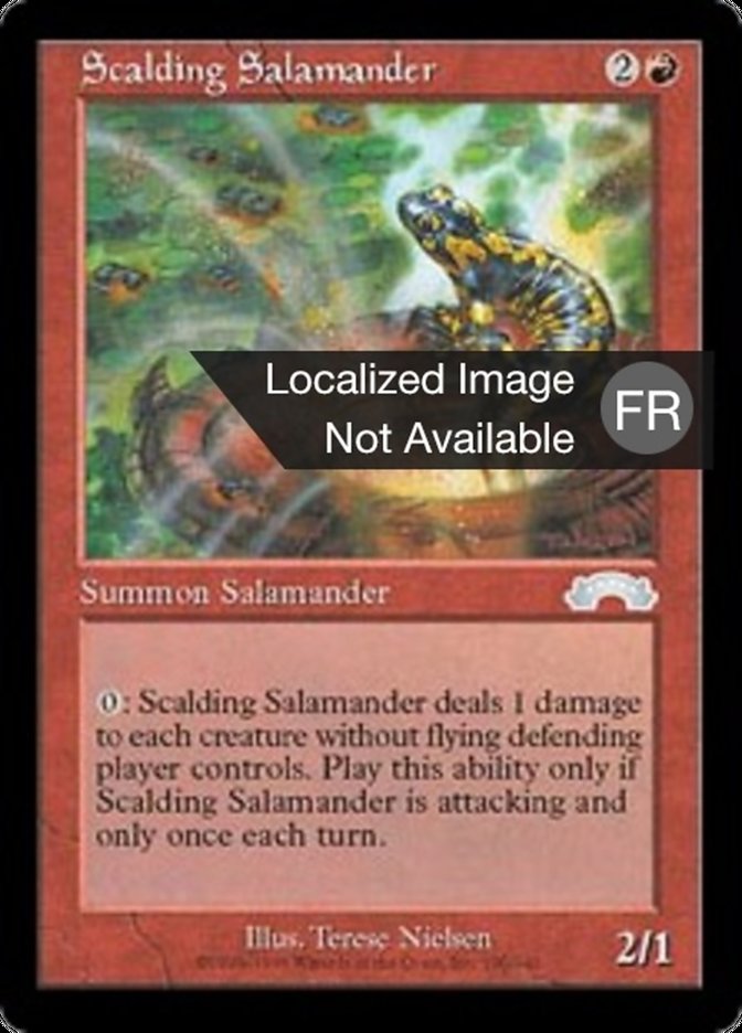 image Salamandre brûlante