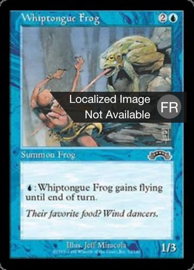 image Grenouille à langue de fouet