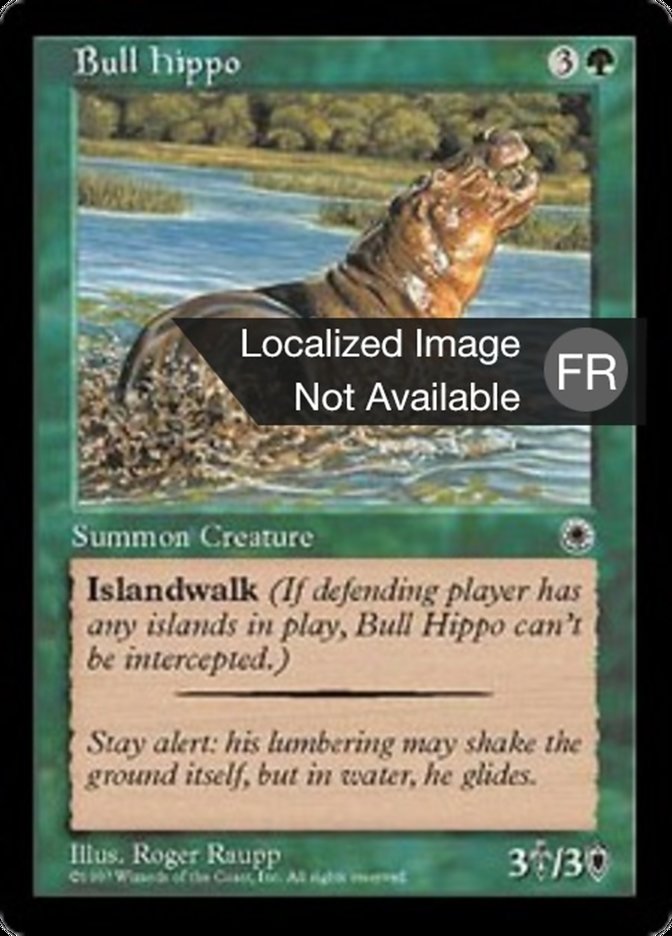 image Hippopotame mâle