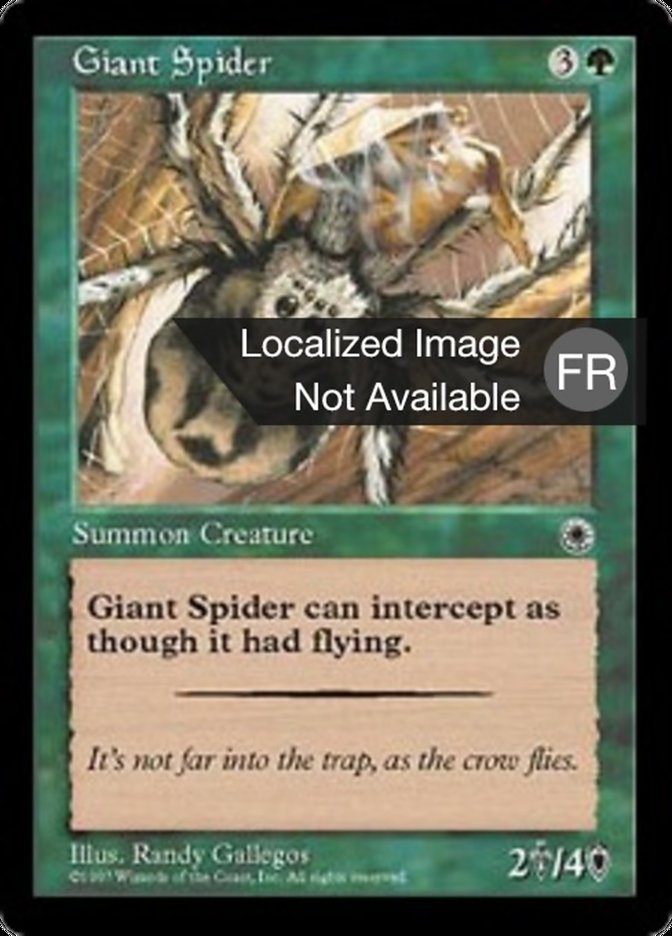 image Araignée géante
