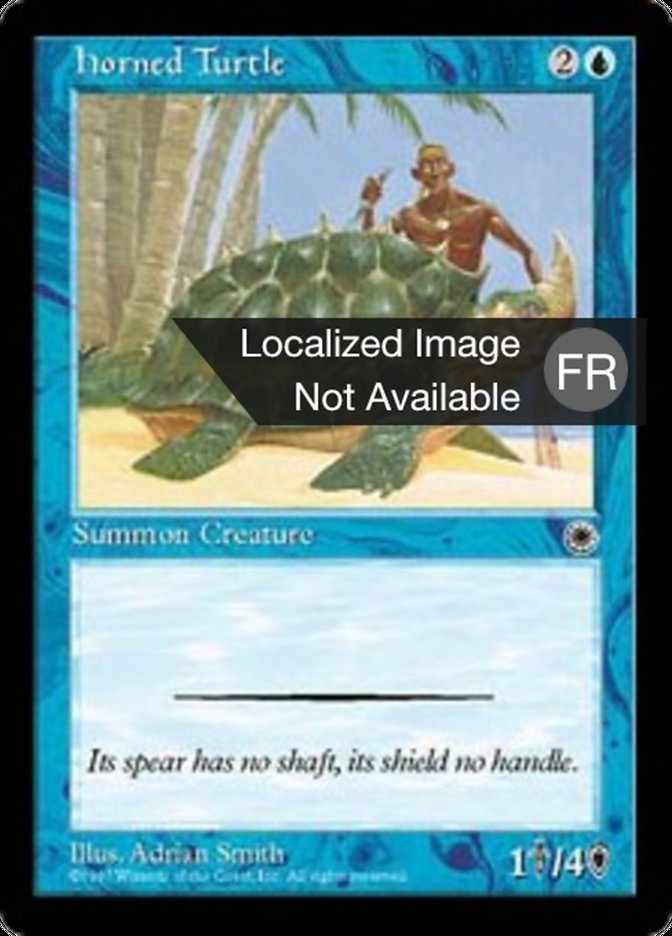 image Tortue cornue
