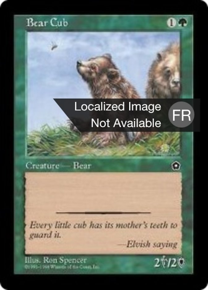 image Ourson