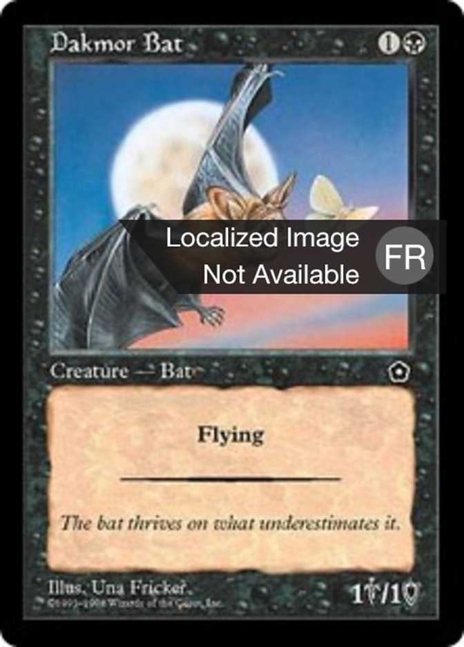 image Chauve-souris du Marennois