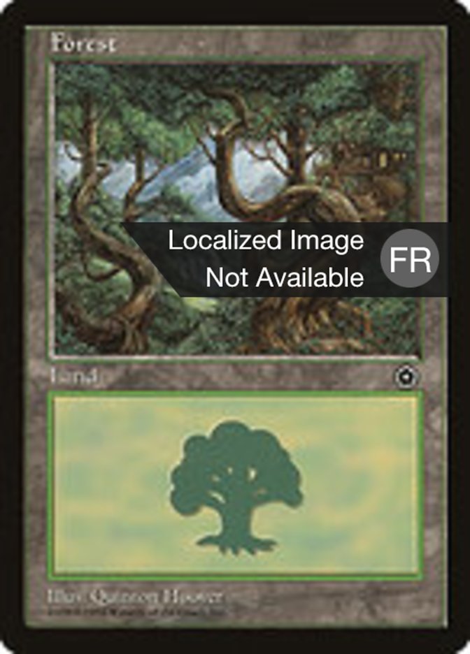 image Forêt