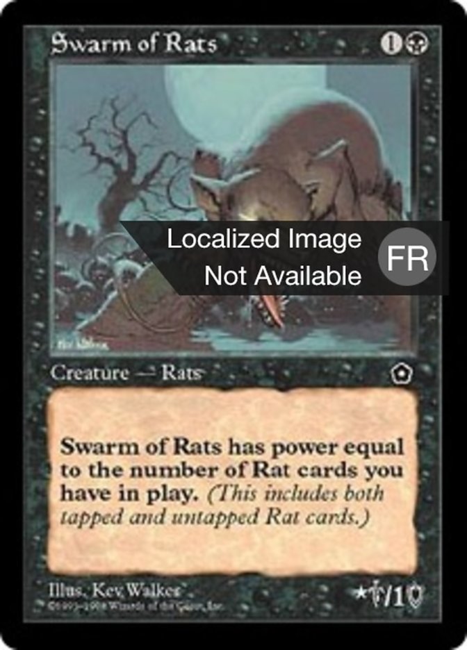 image Colonie de rats