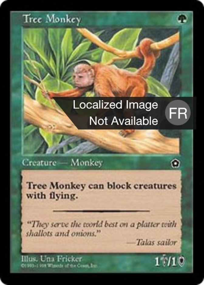 image Singe arboricole