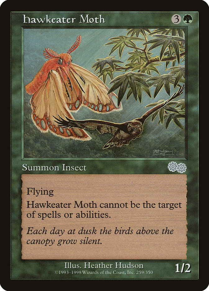 image Hawkeater Moth