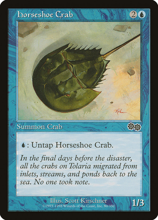 image Horseshoe Crab