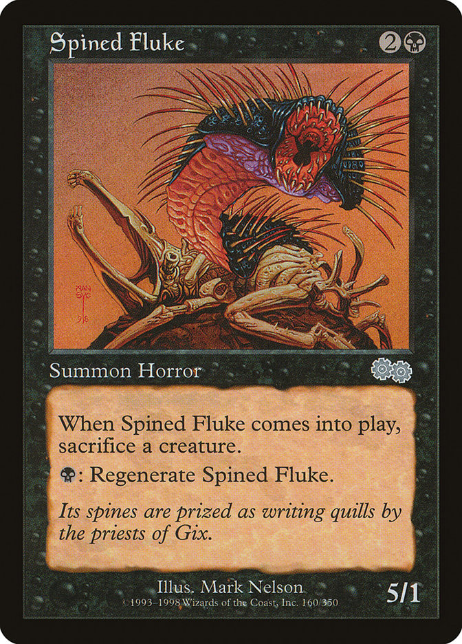 image Spined Fluke