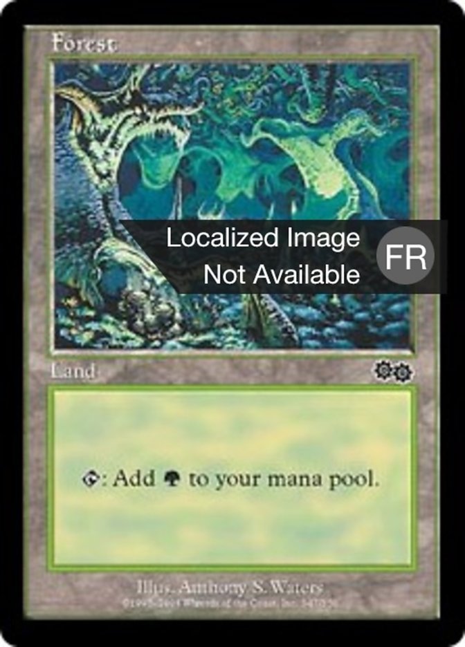 image Forêt