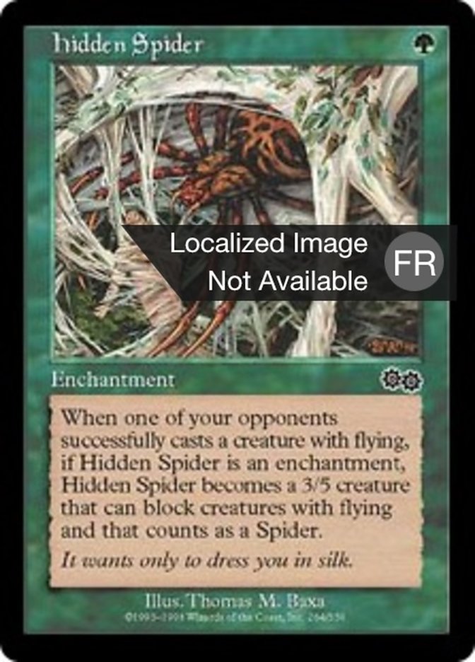 image Araignée cachée