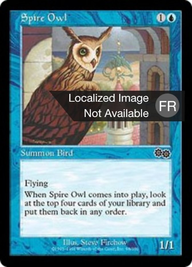 image Hibou des clochers