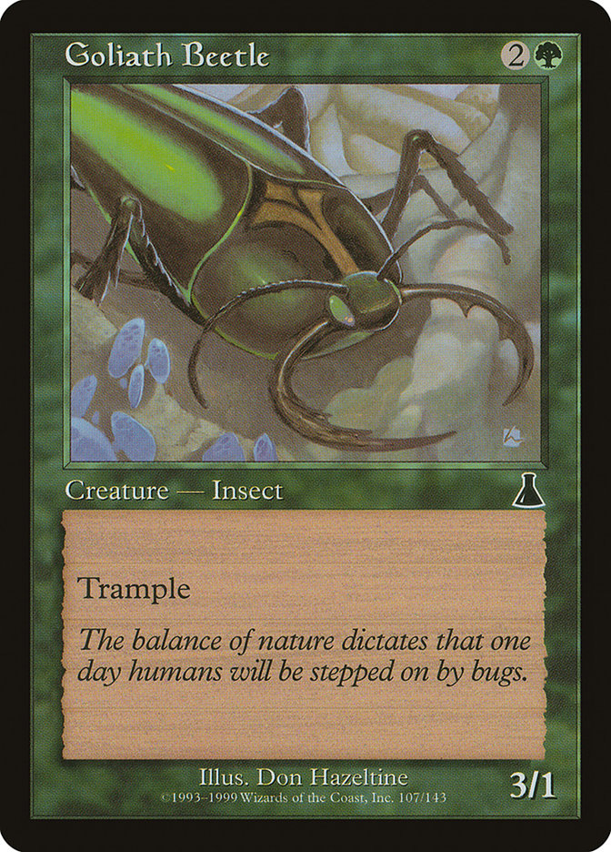 image Goliath Beetle