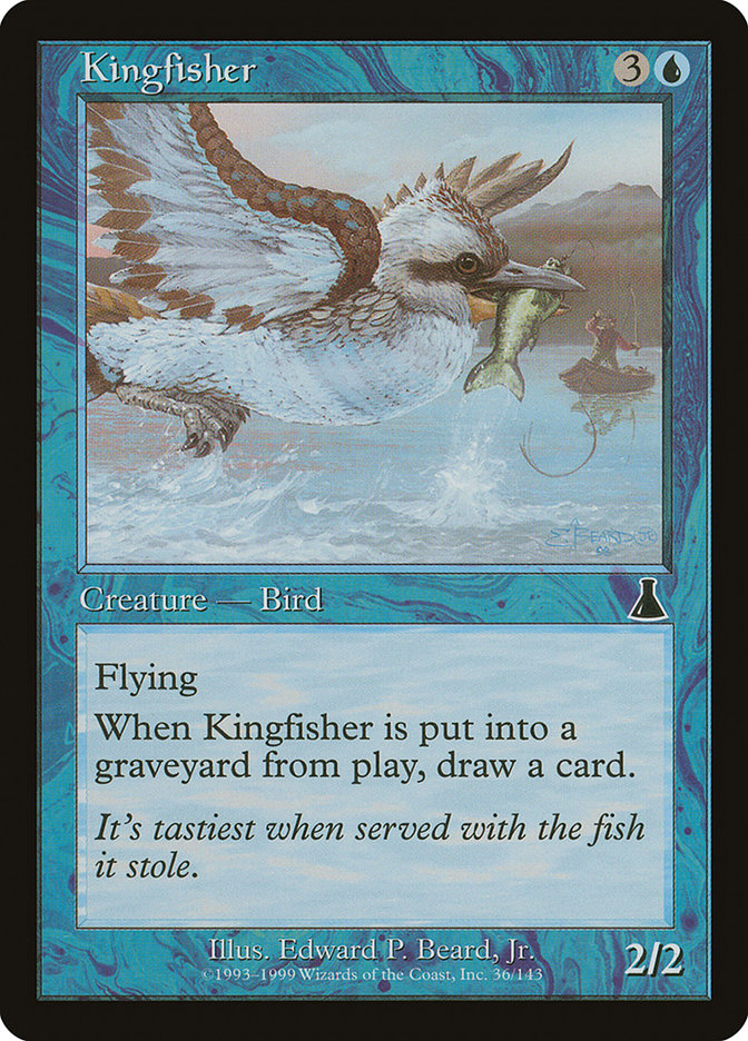 image Kingfisher