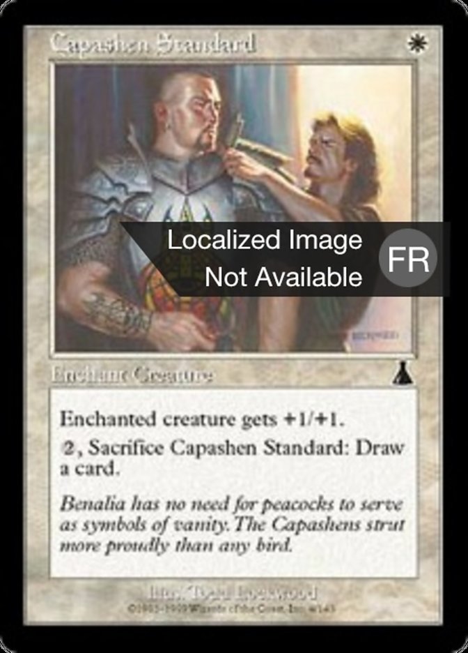 image Etendard Capashen