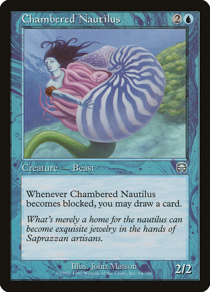 image Chambered Nautilus