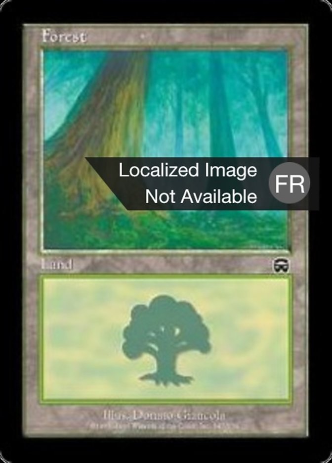 image Forêt