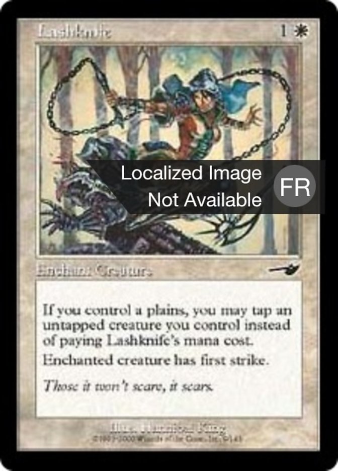 image Fouet-lame