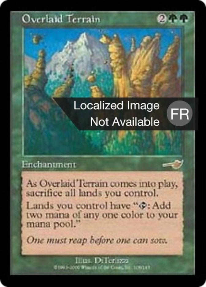 image Terrain recouvert