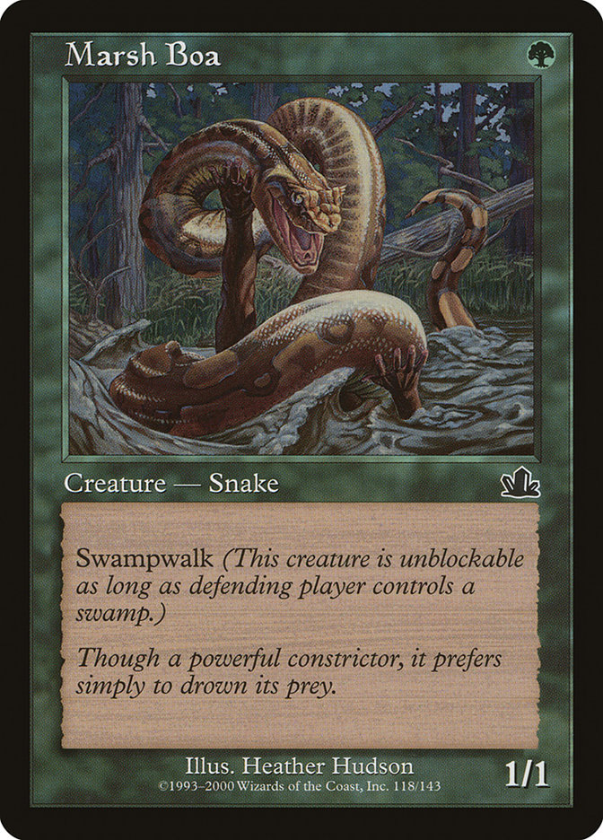 image Marsh Boa