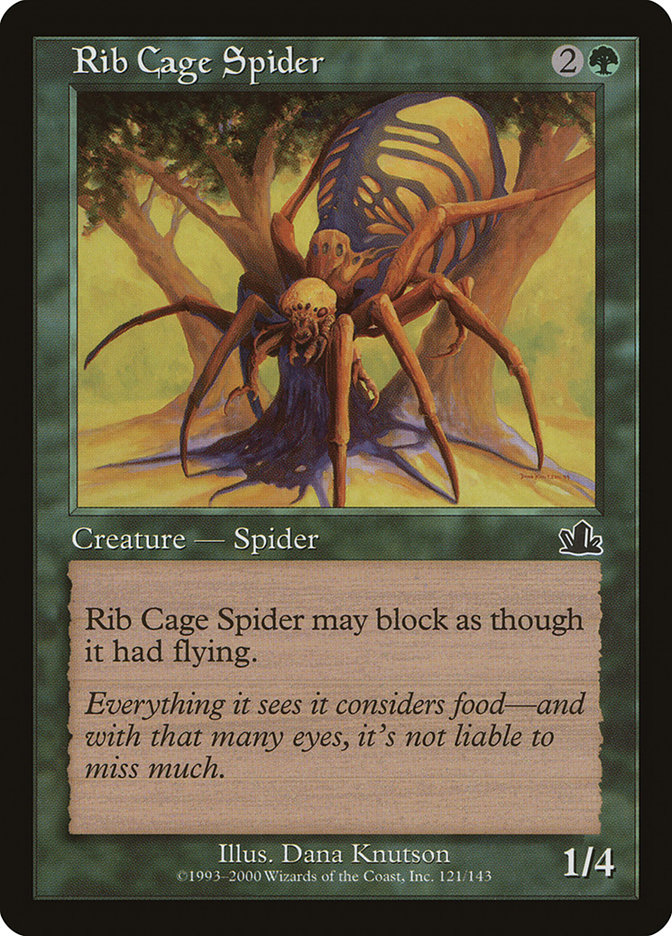 image Rib Cage Spider