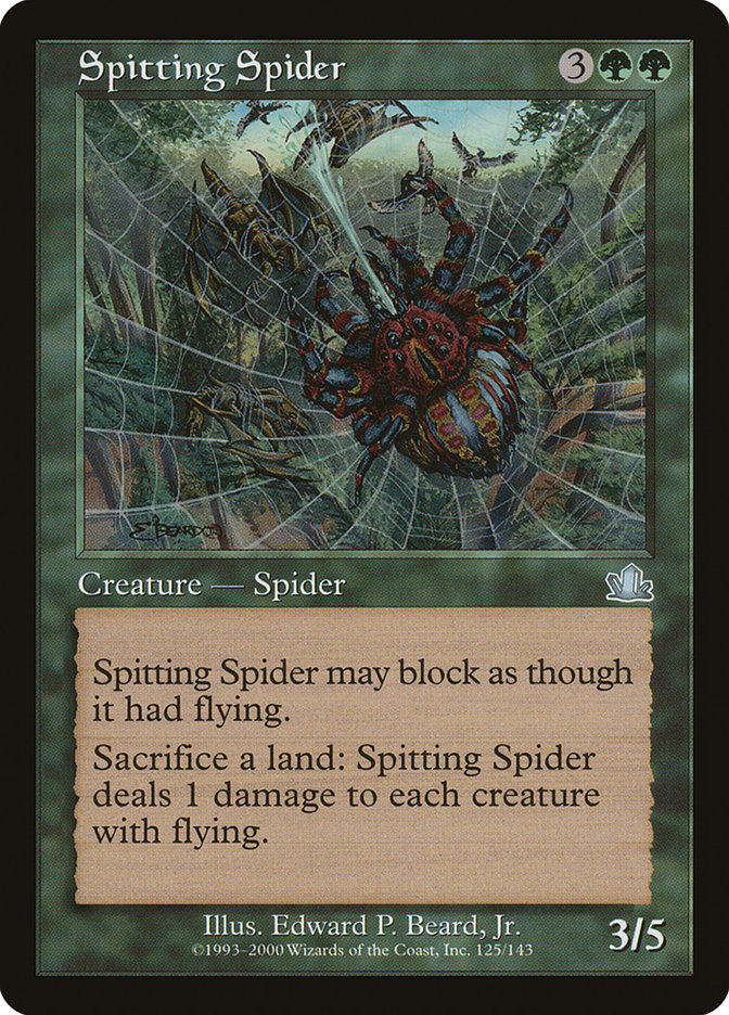 image Spitting Spider