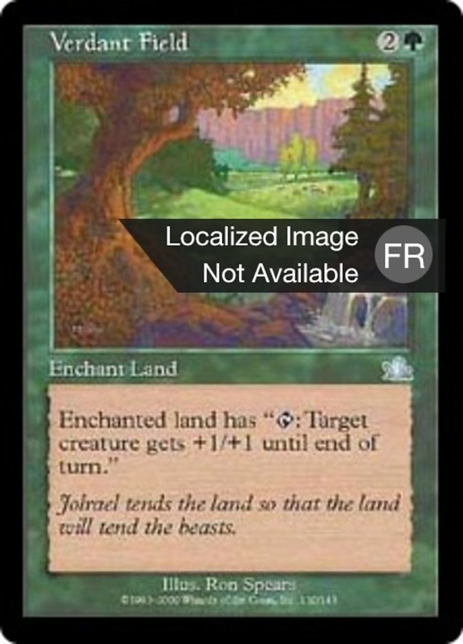 image Champ verdoyant
