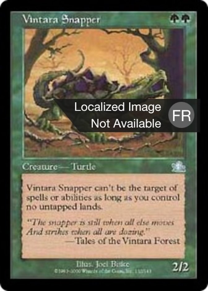 image Tortue claqueuse de Vintara