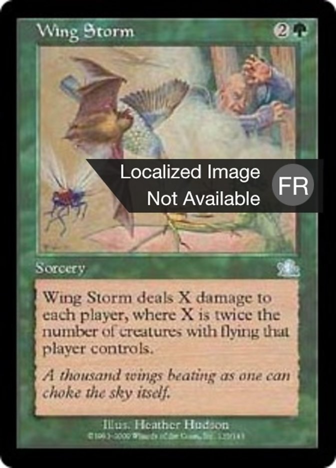 image Tempête d'ailes