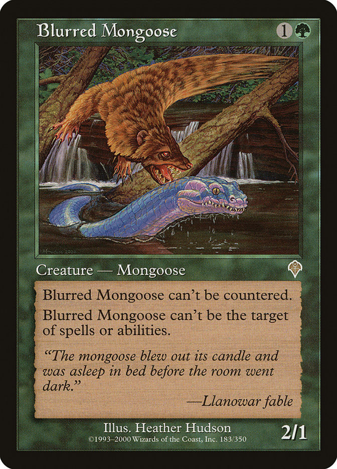image Blurred Mongoose