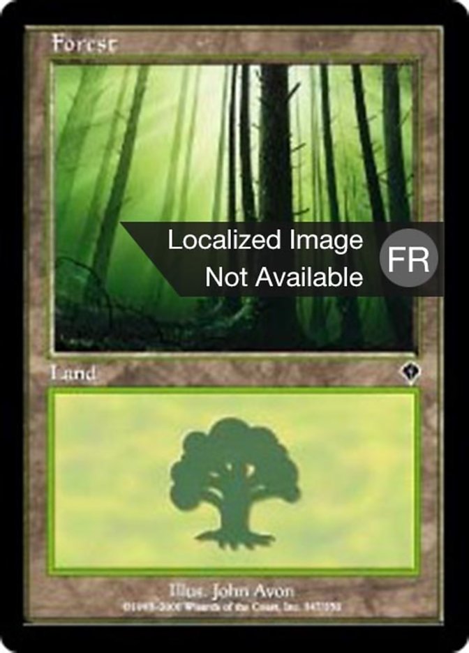 image Forêt