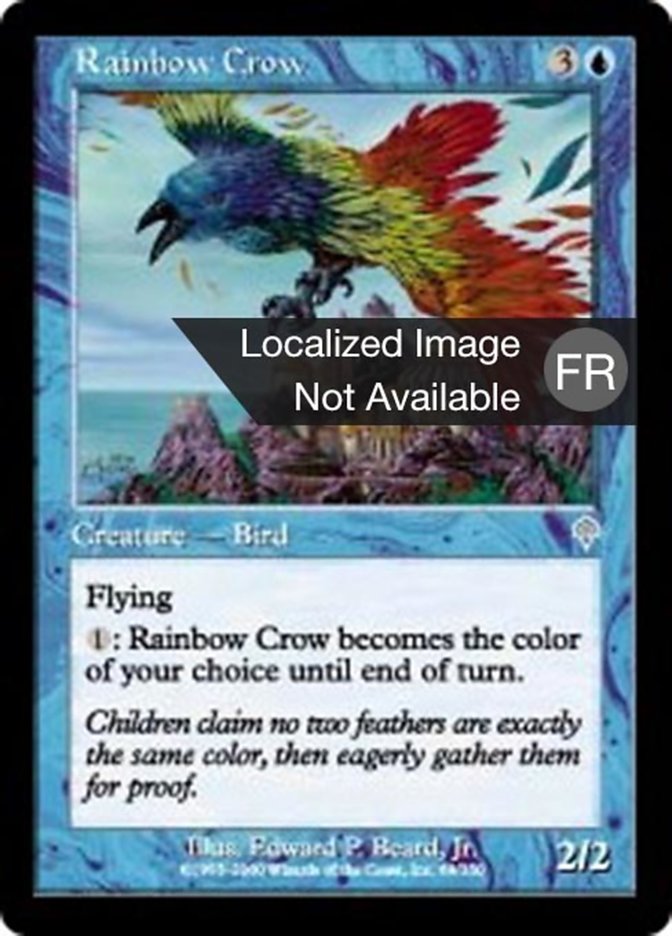 image Corbeau de l'arc-en-ciel