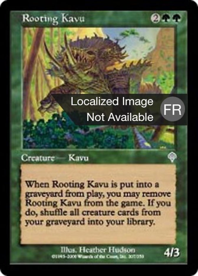 image Kavru enracineur