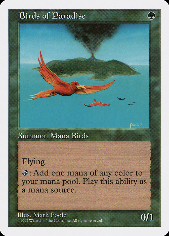 image Birds of Paradise