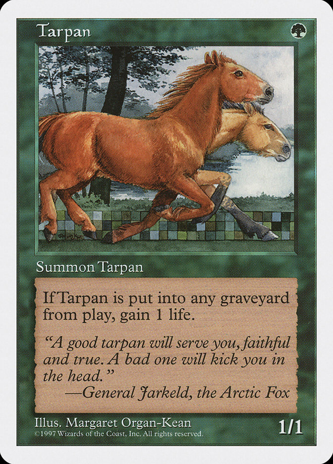 image Tarpan