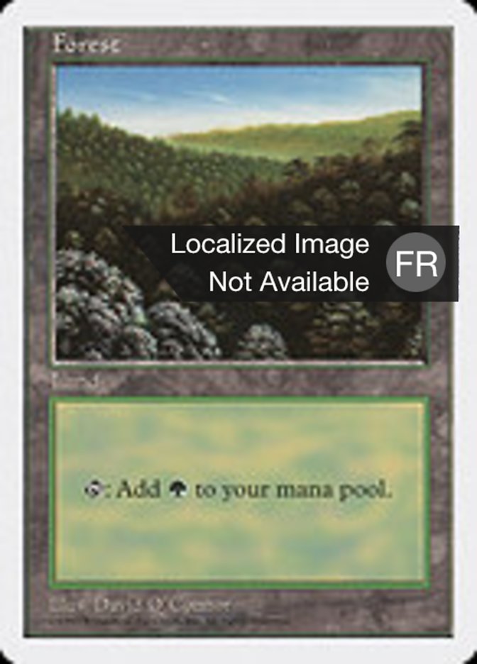 image Forêt