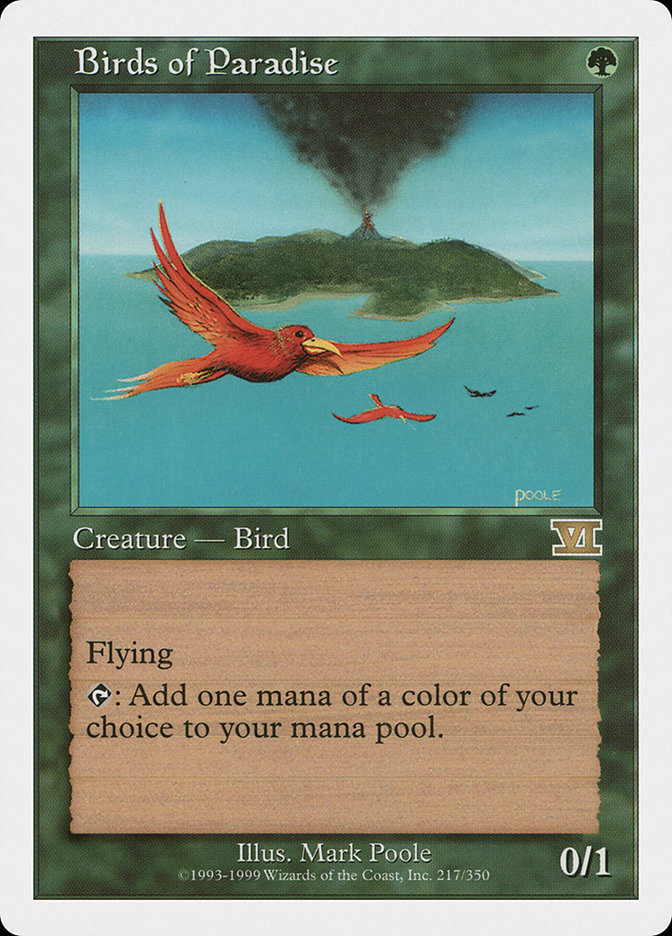 image Birds of Paradise