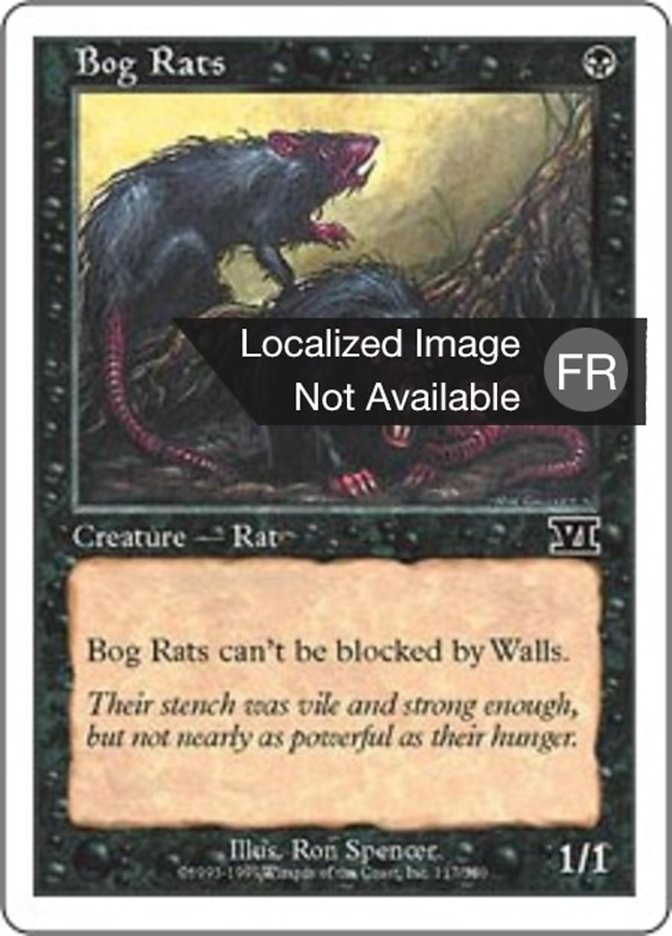 image Rats des marécages