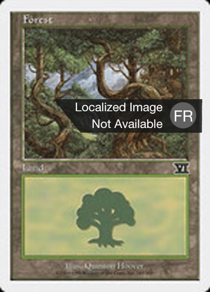 image Forêt