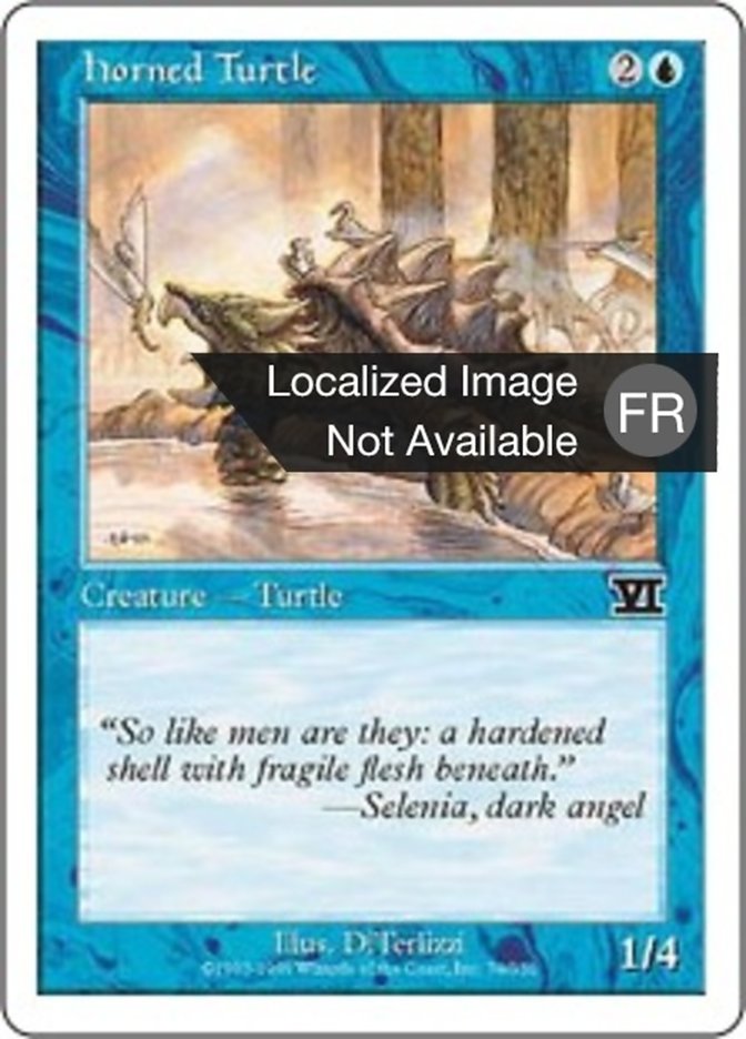 image Tortue cornue