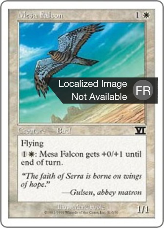 image Faucon de Mesa