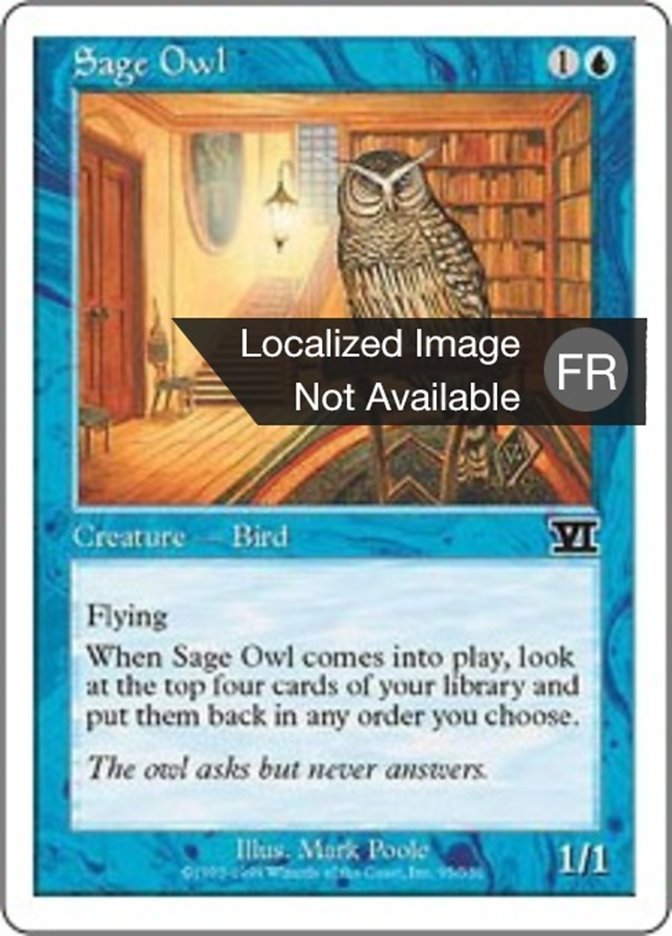 image Hibou savant