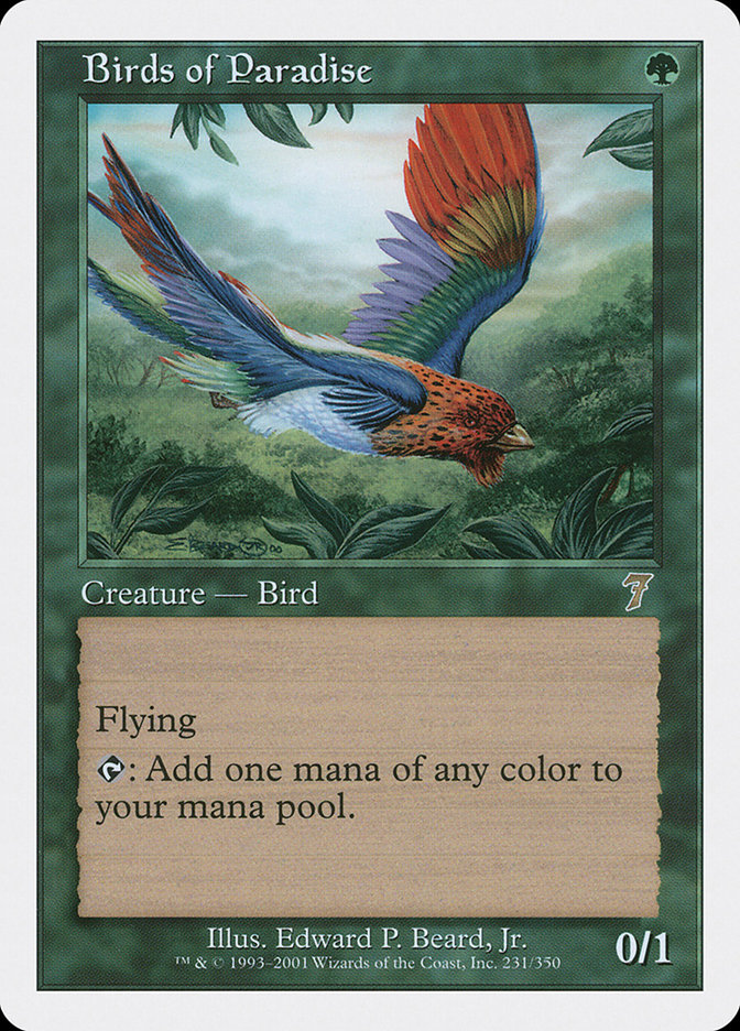 image Birds of Paradise