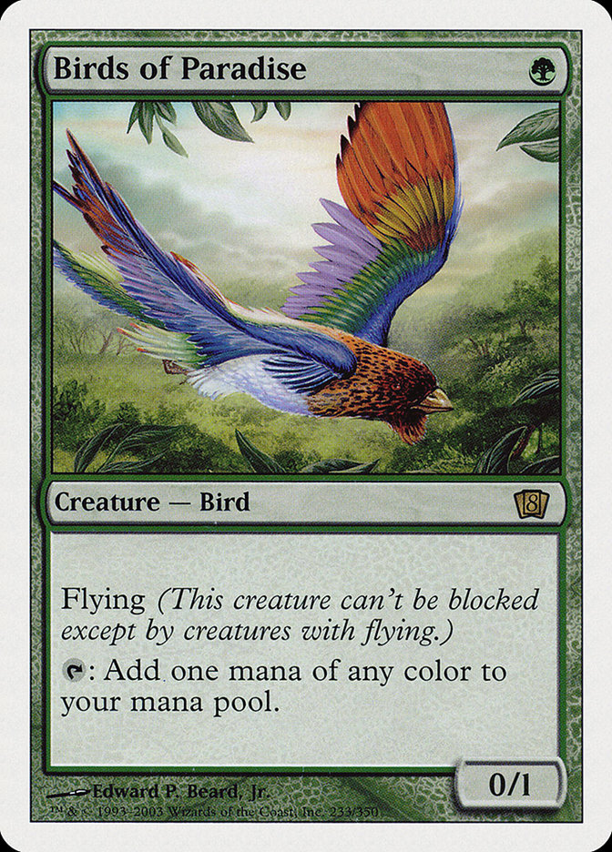 image Birds of Paradise
