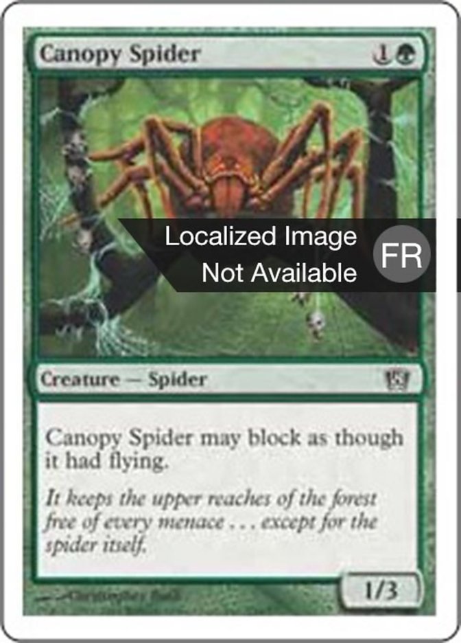 image Araignée de la canopée