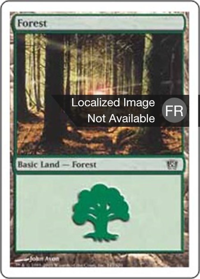 image Forêt