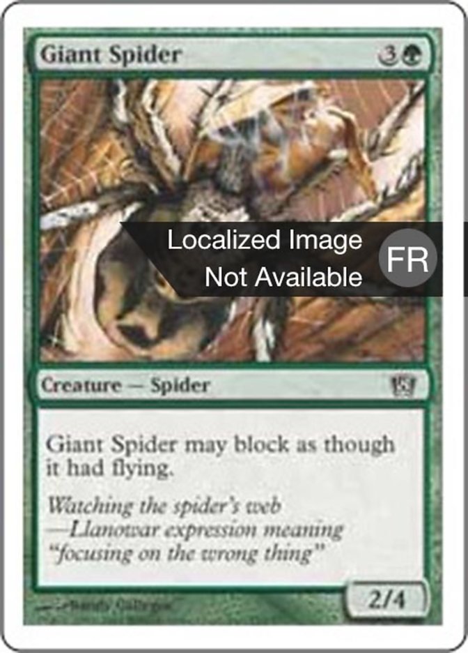 image Araignée géante