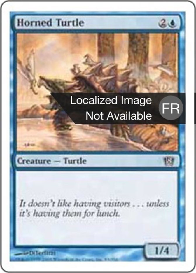 image Tortue cornue