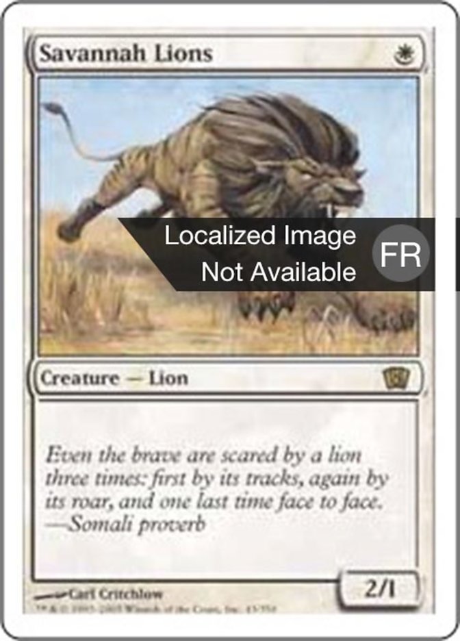 image Lions des savanes